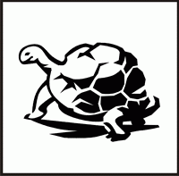 Turtle Design