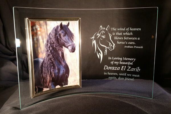 Personalized Engraved 5" x 7" Curved Glass Horse Memorial Picture Frame
